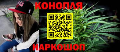 сатива Можайск