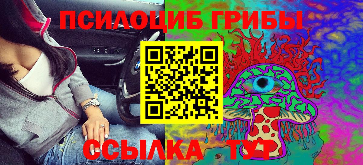 Псилоцибиновые грибы Psilocybine cubensis Верхняя Пышма