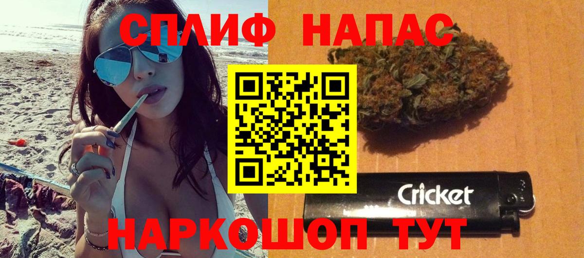 Конопля индика  Каннабис сатива  Конопля марихуана  Каннабис Amnesia  Верхняя Пышма  Вход с VPN 